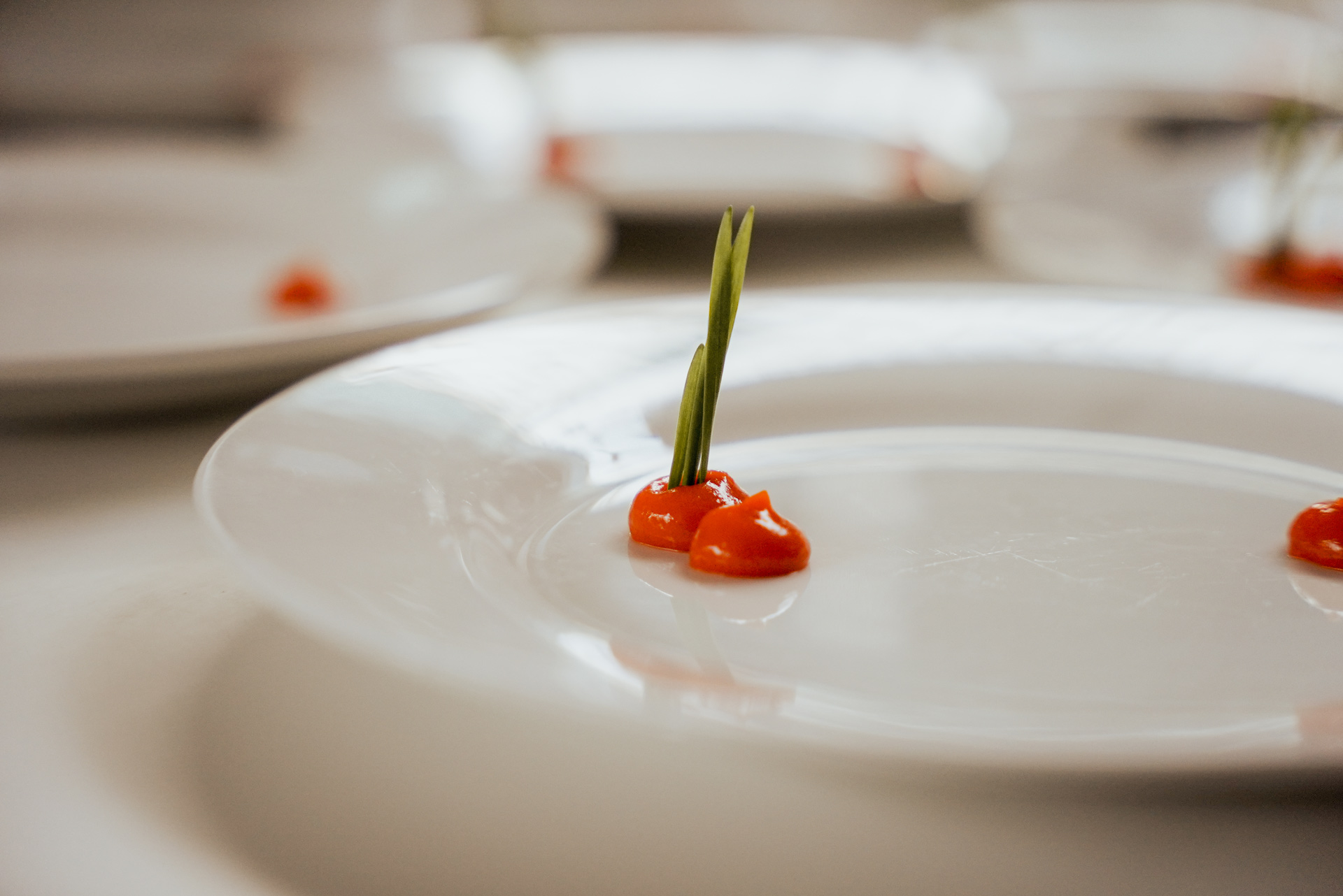 Auf einem weißen Teller liegt ein Klecks rote Sauce mit zwei grünen Halmen
